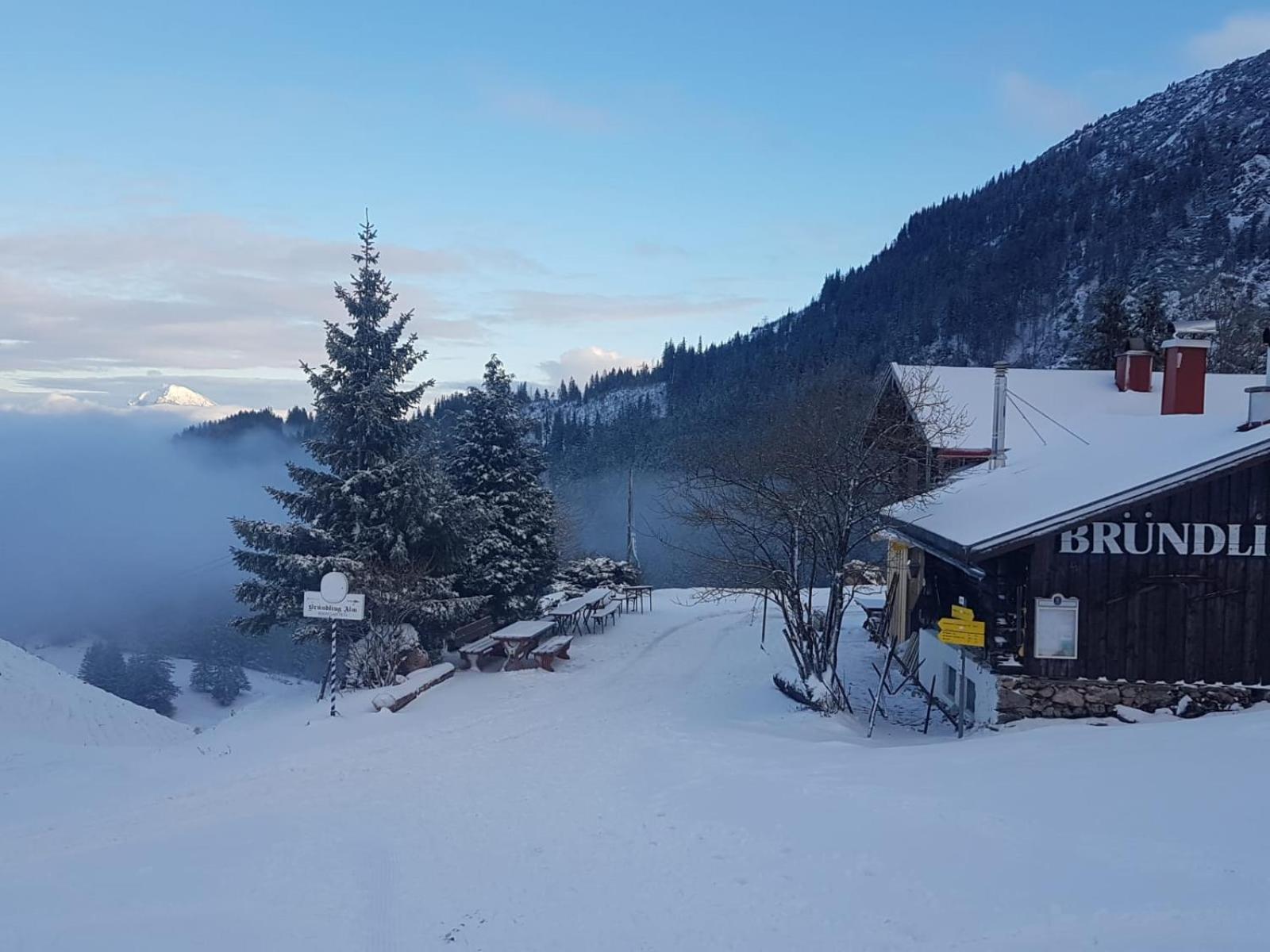 Bruendling-Alm Berggasthof Auf 1167M Auf Dem Hochfelln Bergen  Eksteriør bilde