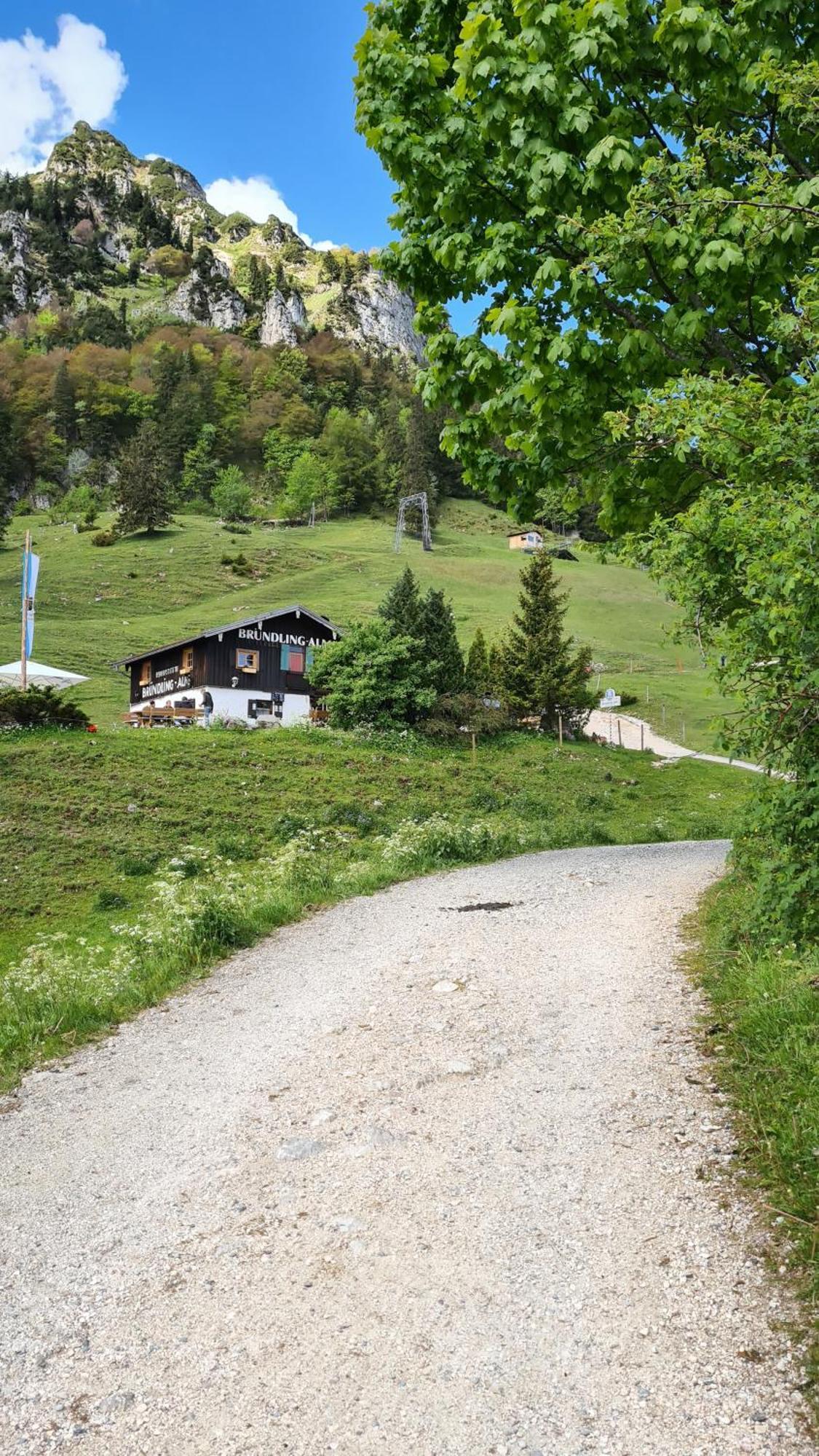 Bruendling-Alm Berggasthof Auf 1167M Auf Dem Hochfelln Bergen  Eksteriør bilde